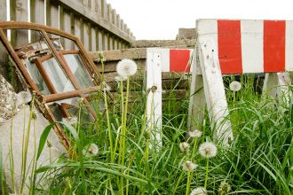 Garten, Naturgarten, Unkraut, unschöne Ecken, naturnah, Gras