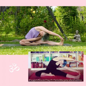 yoga progress, Yoga, Yoga Fortschritt, Yogaposition, Yogaanfänger, revolved head to knee, parivrtta janu sirsasana, gedrehte Kopf zum Knie Position, Asana