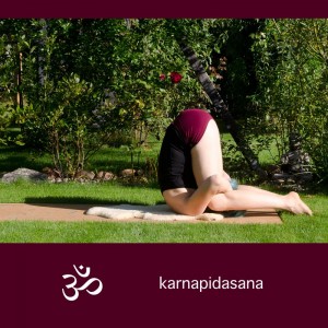 Yoga, Yoga flow, yoga session, cool down, bending poses, plow, shoulderstand, fish, ear pressure, Altweibersommer, yoga im Garten