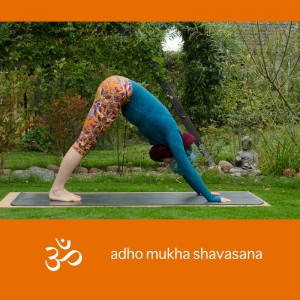Yoga, Yogapose, Yogaposition, Asana, stretch, downward facing dog, adho mukha shavasana, herabschauender hund