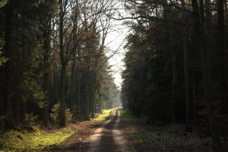 Leben verändern, Selbsmotivation, Motivation, Veränderungen, Status Quo, Ich-sein