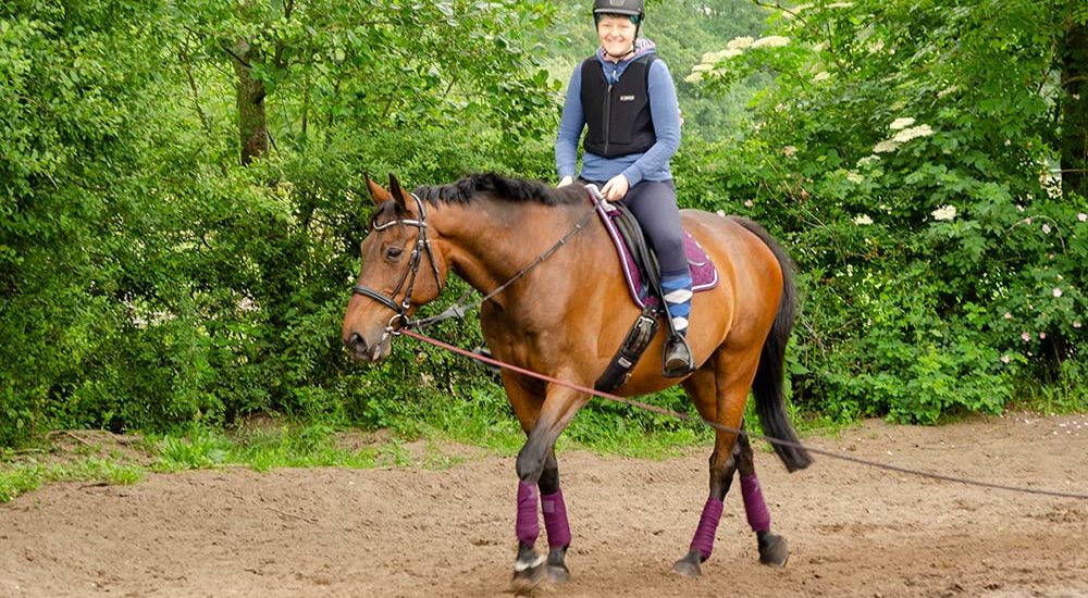 Reiter, reiten, reiten lernen, Reitunterricht, Reitbeteiligung, Wallach, Pferd, Reitplatz, Sir Philip