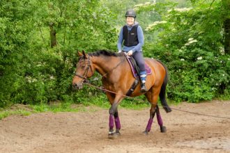 Reiter, reiten, reiten lernen, Reitunterricht, Reitbeteiligung, Wallach, Pferd, Reitplatz, Sir Philip