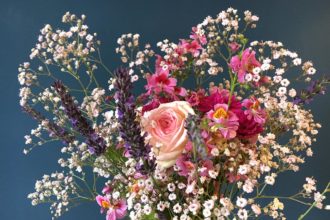 Garten, Blumen, Bauernorchideen, pink, weiß, Bauerngarten, Blumensaat, Blumenstrauß, Bauerngarten, Schleierkraut