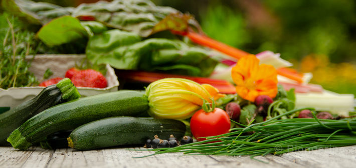 Gemüsegarten, Gemüse, Fruchfolge, Selbstversorger, Zucchini, Schnittlauch, Mangold, Tomate, Erdbeeren, Thymian, Kapuzinerkresse
