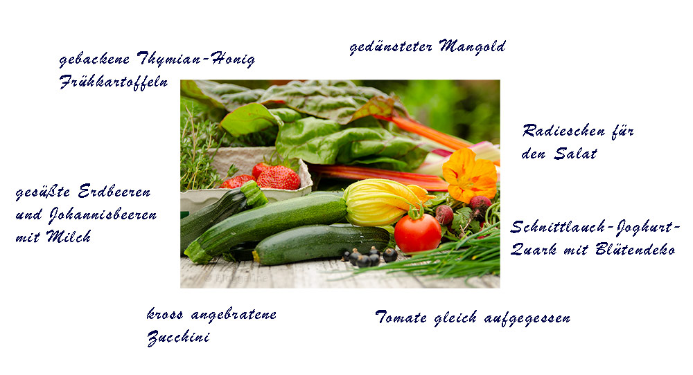 Gemüsegarten, Gemüse, Fruchfolge, Selbstversorger, Zucchini, Schnittlauch, Mangold, Tomate, Erdbeeren, Thymian, Kapuzinerkresse