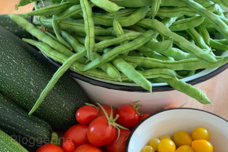 Bohnen, Gartenbohnen, Stangenbohnen, Gemüse, Gemüsegarten, Selbstversorger, Zucchini, Tomaten