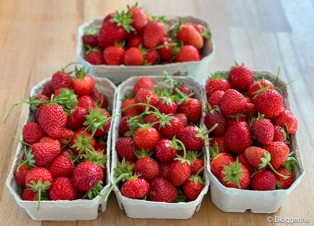 vier Schalen mit Erdbeeren
