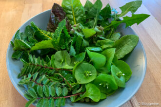 Grüner Salat mit vielen grünen Zutaten