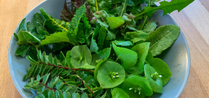 Grüner Salat mit vielen grünen Zutaten